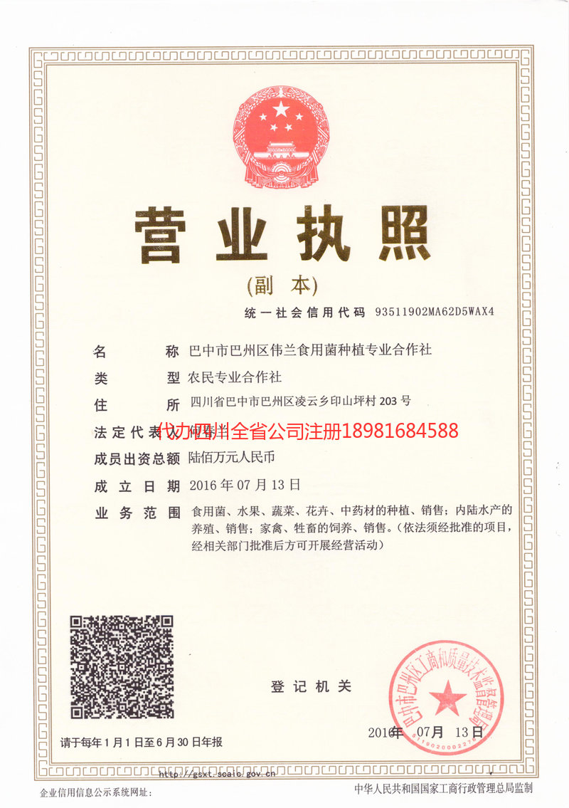 海南海南伟兰食用菌种植专业合作社